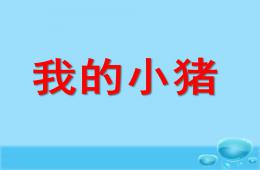 中班音樂我的小豬PPT課件