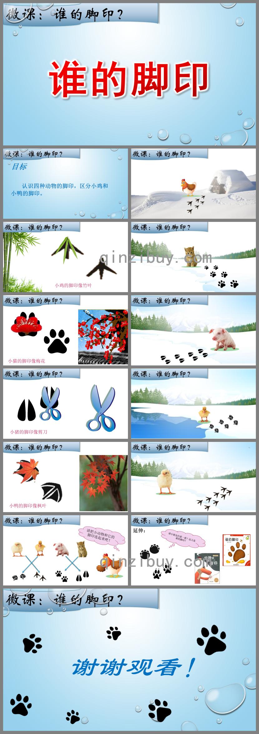 小班科學(xué)誰的腳印PPT課件