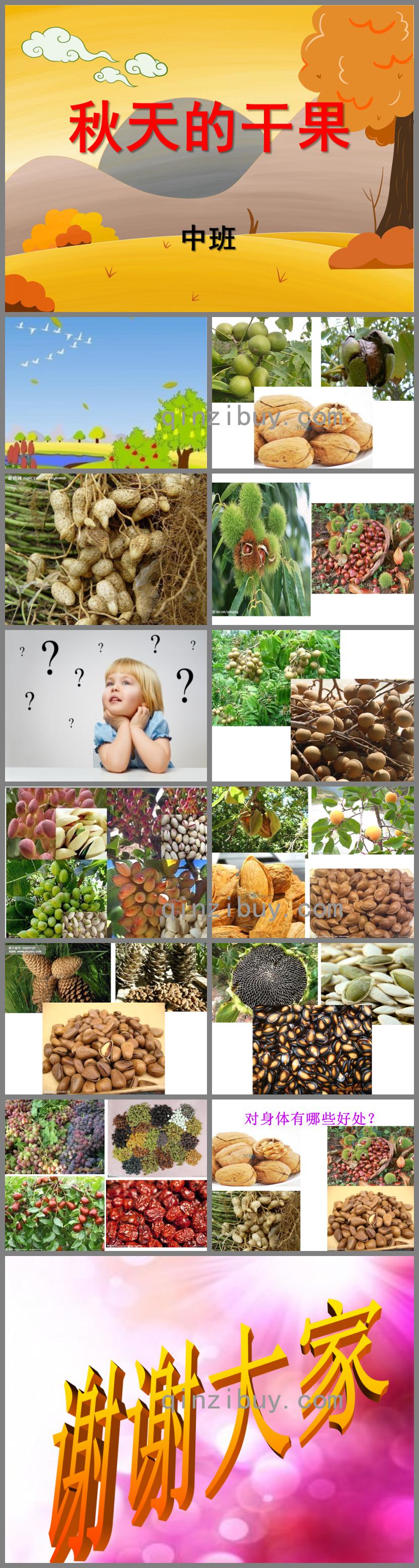 中班科學秋天的干果PPT課件