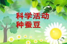 幼兒園科學(xué)活動(dòng)種蠶豆PPT課件
