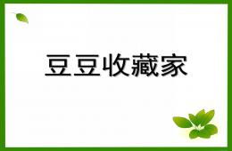 大班故事豆豆收藏家PPT課件