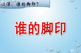 小班科學(xué)誰的腳印PPT課件