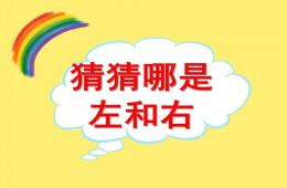 大班科學猜猜哪是左和右PPT課件