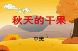 中班科學秋天的干果PPT課件