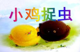 小班綜合活動小雞捉蟲PPT課件