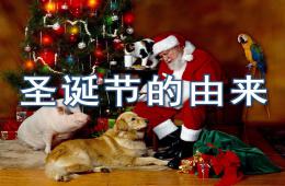 小班圣誕節的由來PPT課件