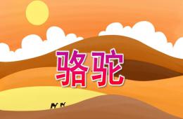 中班美術駱駝PPT課件