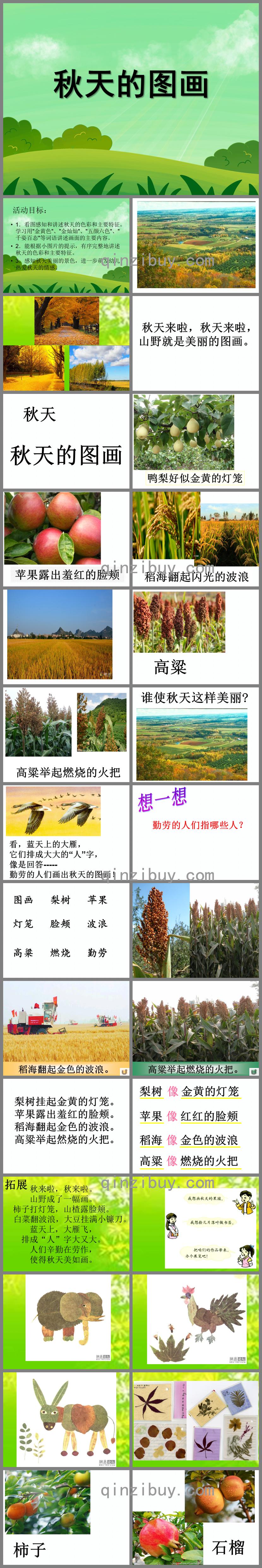 大班語言公開課秋天的圖畫PPT課件
