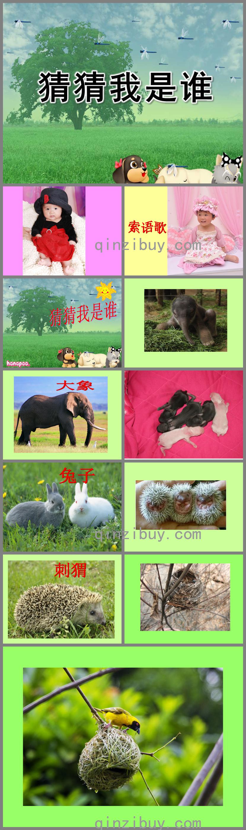 中班科學活動猜猜我是誰PPT課件
