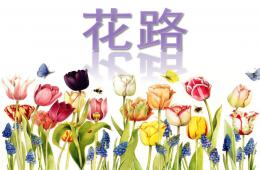 幼兒園語言活動花路PPT課件
