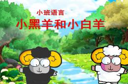 小班語言小黑羊和小白羊PPT課件