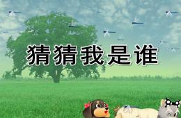 中班科學活動猜猜我是誰PPT課件