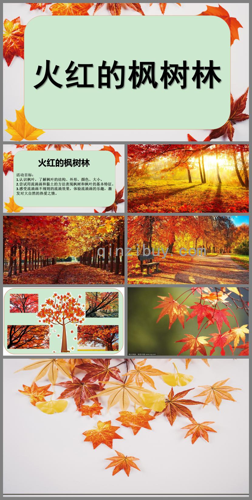 大班美術火紅的楓葉林PPT課件