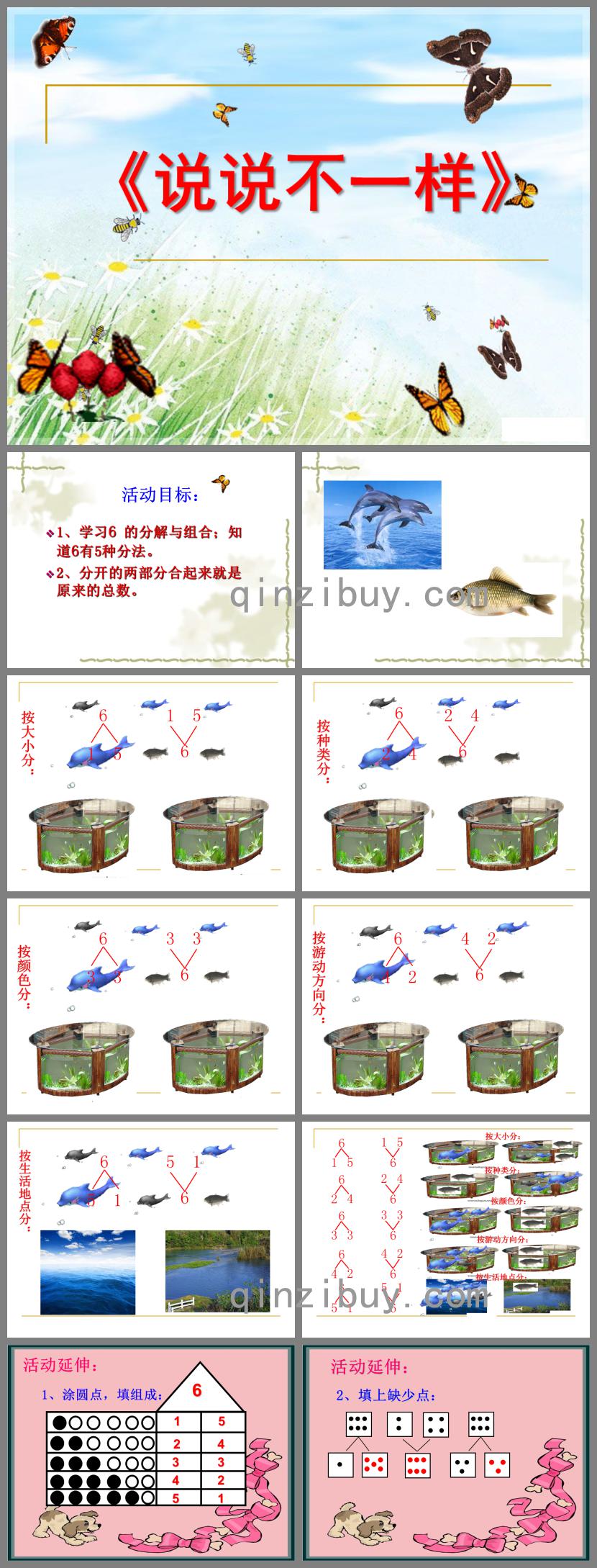 大班數學說說不一樣PPT課件