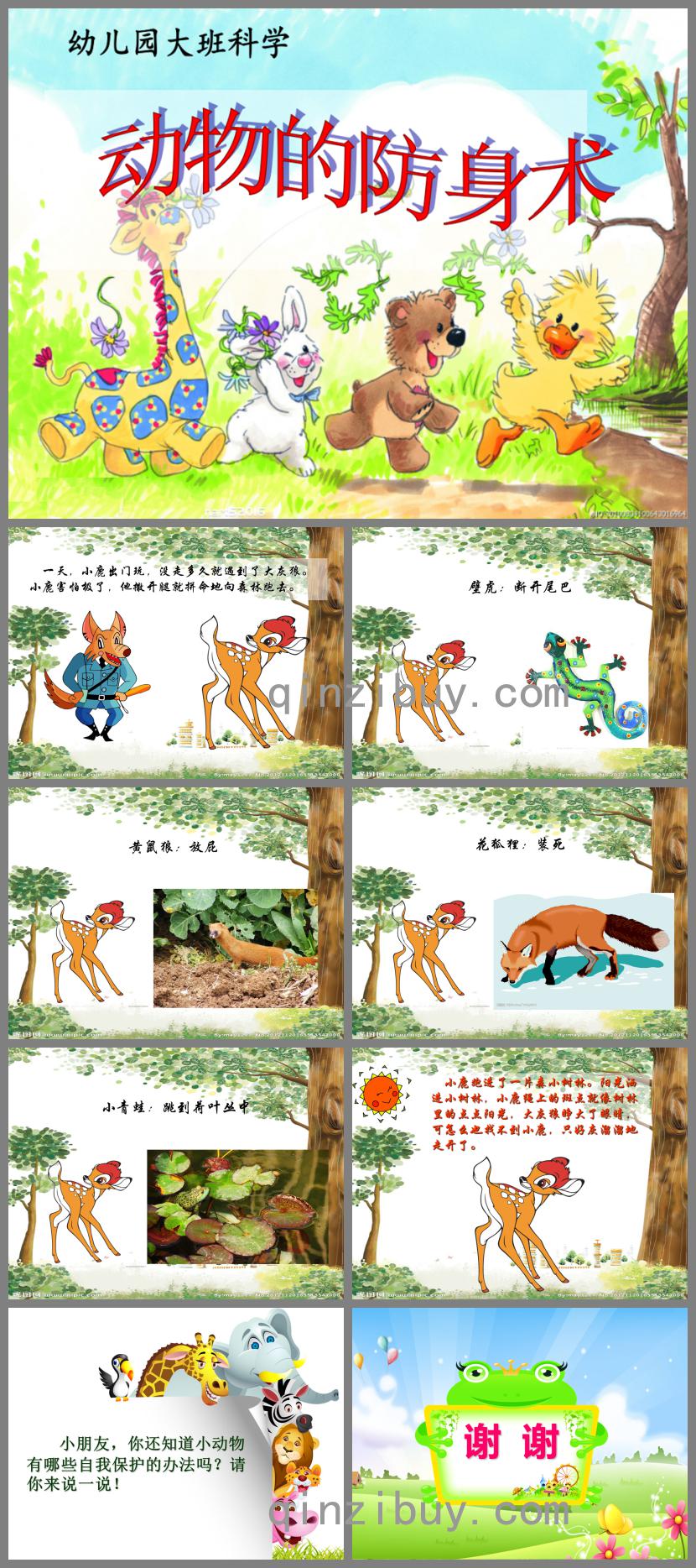 大班科學動物的防身術PPT課件