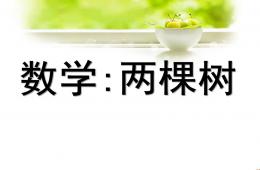 幼兒園數學兩棵樹PPT課件