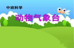 中班科學(xué)活動動物氣象臺PPT課件