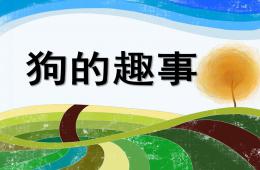 大班主題活動狗的趣事PPT課件