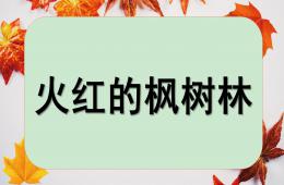 大班美術火紅的楓葉林PPT課件