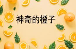幼兒園創(chuàng)意美術(shù)神奇的橙子PPT課件