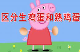 中班科學(xué)區(qū)分生雞蛋和熟雞蛋PPT課件