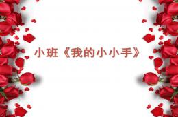 小班手指游戲我的小小手PPT課件