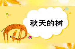 中班科學(xué)秋天的樹PPT課件