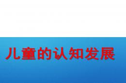 幼兒園兒童認(rèn)知發(fā)展過(guò)程PPT課件