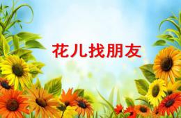 中班科學(xué)花兒找朋友PPT課件