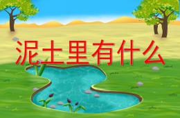 中班科學(xué)土里有什么PPT課件