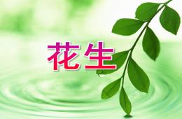 小班科學活動花生PPT課件