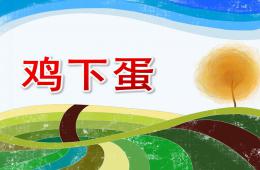 小班數學活動雞下蛋PPT課件