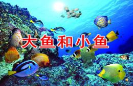 小班音樂大魚和小魚PPT課件音樂