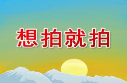 大班音樂想拍就拍PPT課件