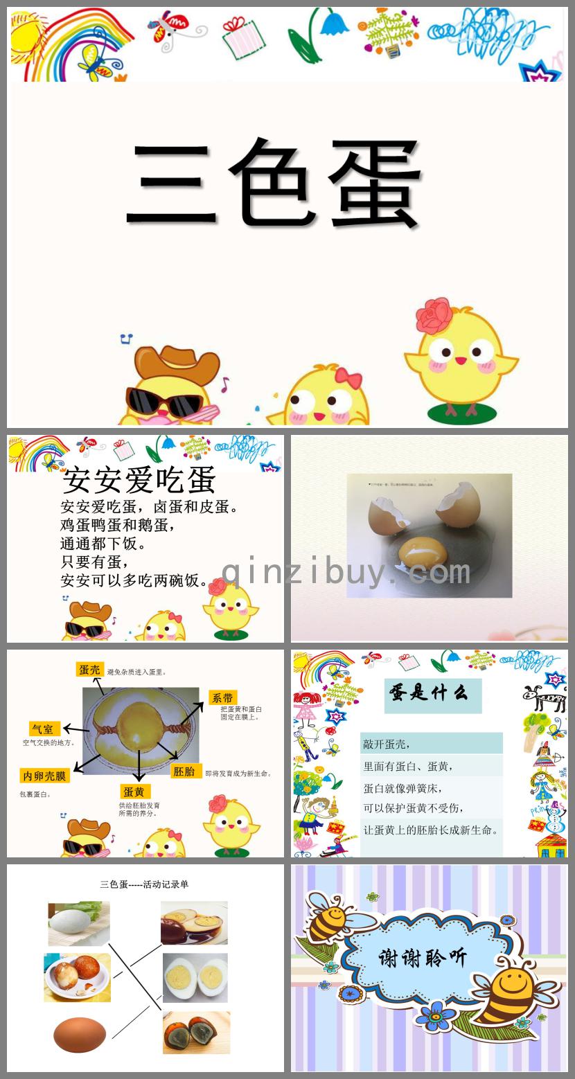中班科學三色蛋-蛋是什么？PPT課件