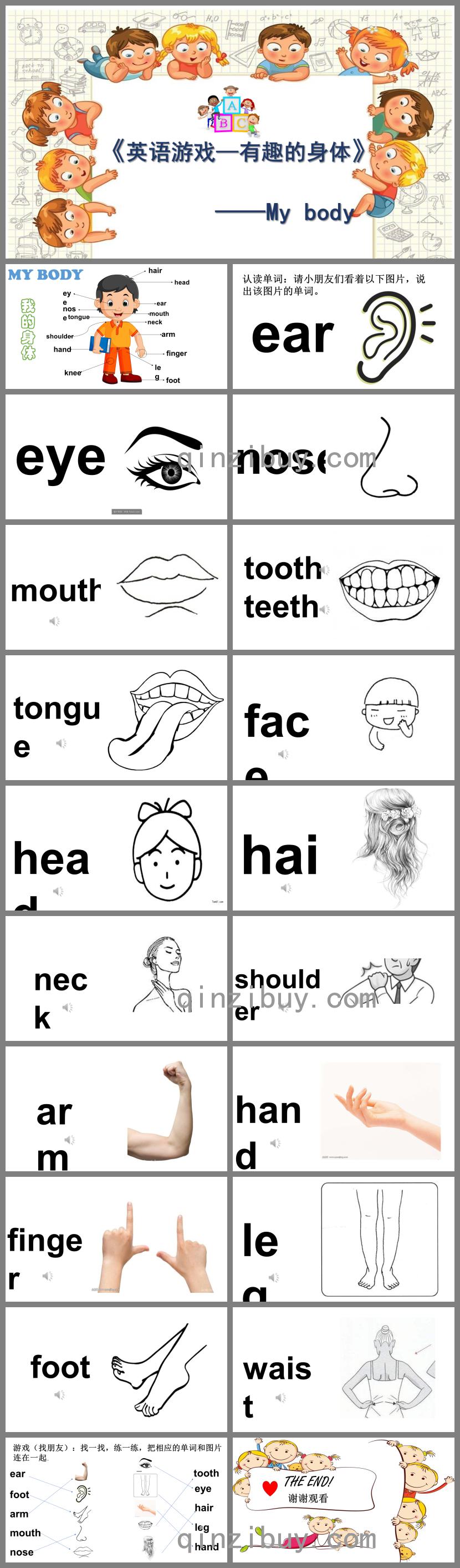 幼兒園英語(yǔ)有趣的身體---my body的PPT課件
