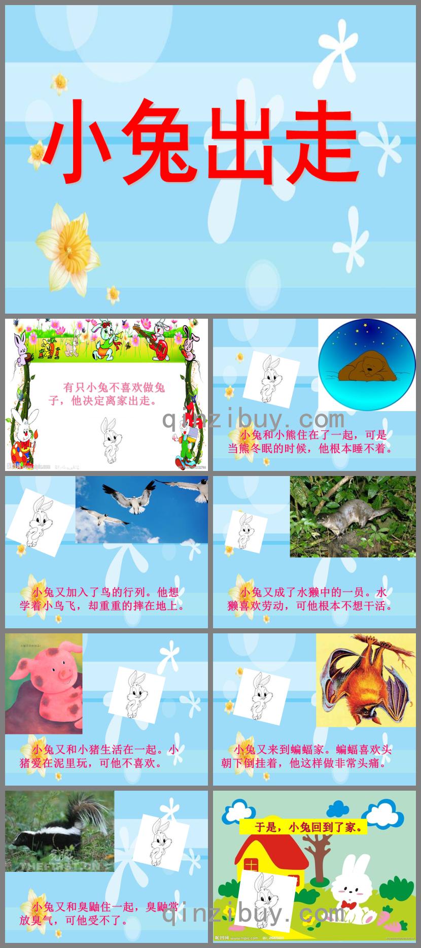 中班語言小兔出走PPT課件