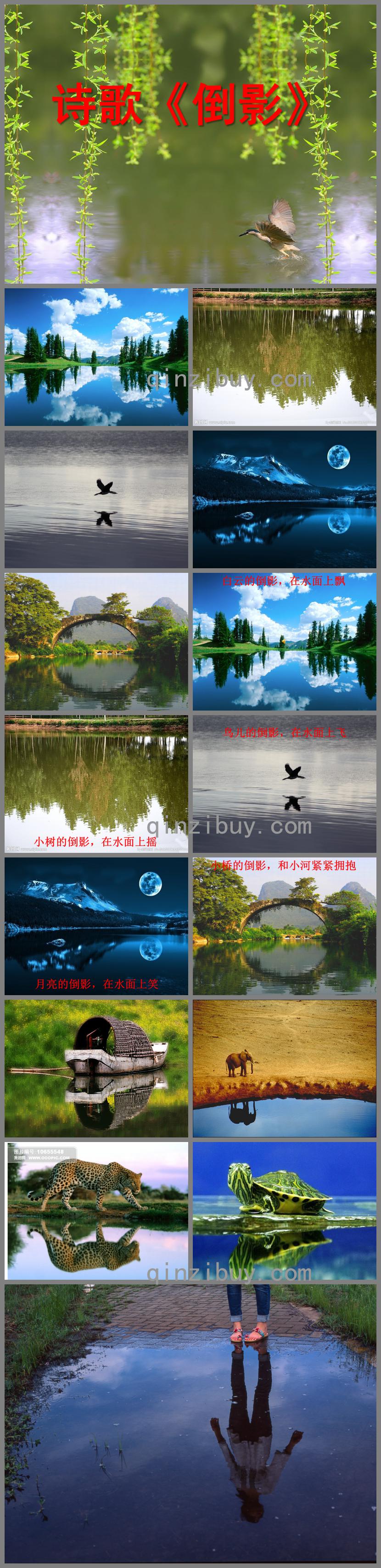 中班語言活動倒影PPT課件