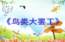 中班社會優質課鳥類大罷工PPT課件