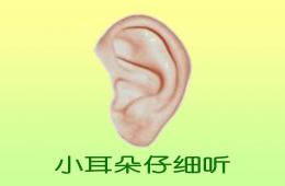 小班語言小耳朵仔細聽PPT課件音頻