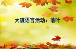 大班語(yǔ)言落葉PPT課件