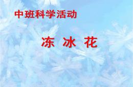 中班科學(xué)凍冰花PPT課件