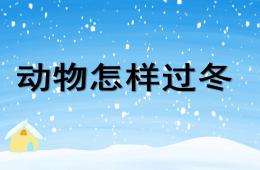 大班科學活動課動物怎樣過冬PPT課件