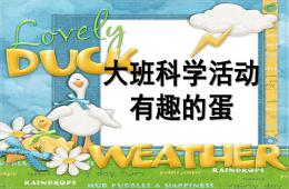 大班科學(xué)活動(dòng)有趣的蛋PPT課件