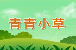 中班科學(xué)青青小草PPT課件
