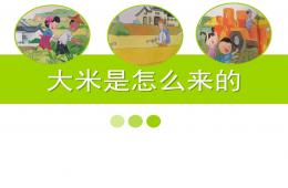 大班音樂活動大米是怎么來的PPT課件