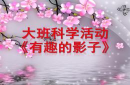大班科學優質課有趣的影子PPT課件