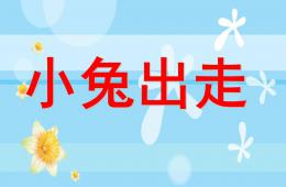 中班語言小兔出走PPT課件