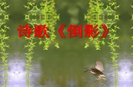 中班語言活動倒影PPT課件