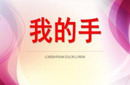 中班科學(xué)我的手PPT課件
